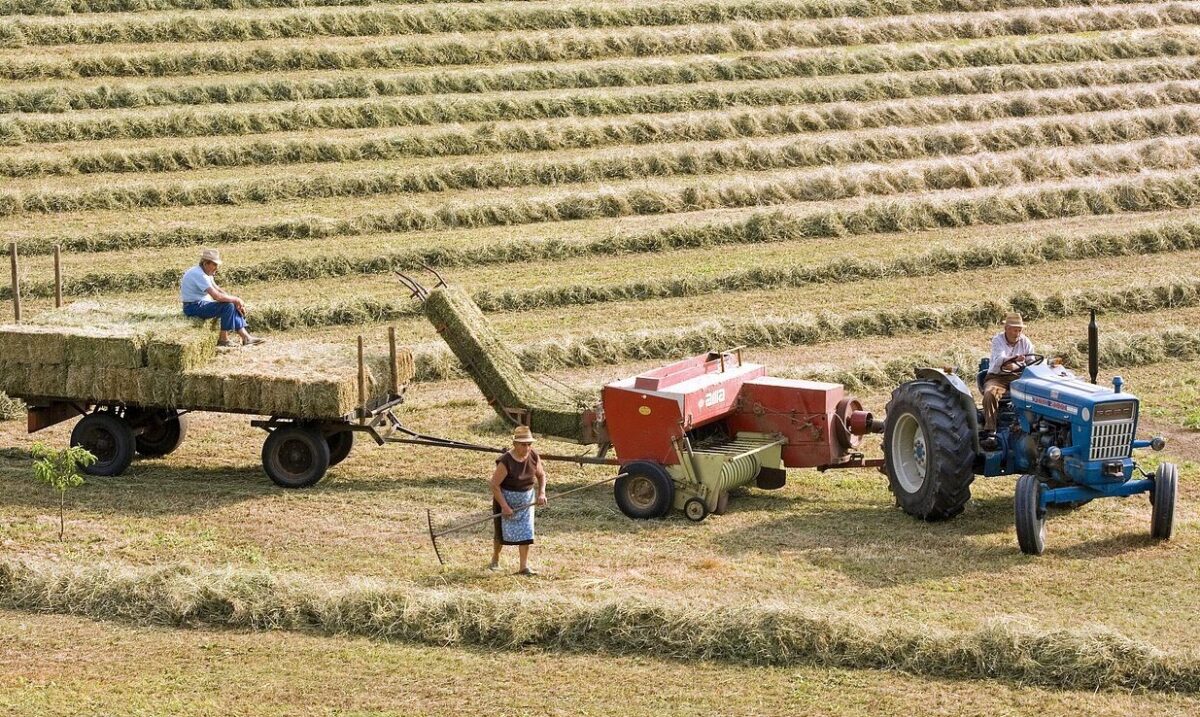 „Camera de Comerț germană avertizează: Rezervarea plăților fermierilor către furnizori poate destabiliza lanțul de aprovizionare în agricultură”