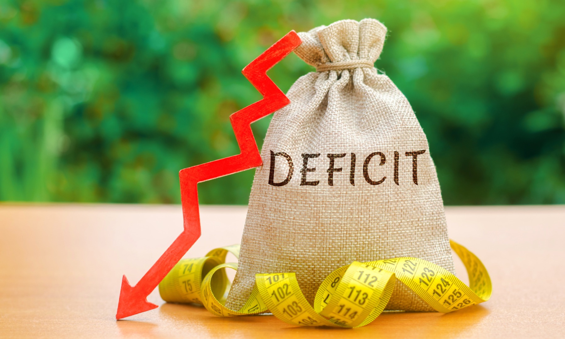 Guvernul preconizează finalizarea anului cu un deficit bugetar de 7,9% din PIB