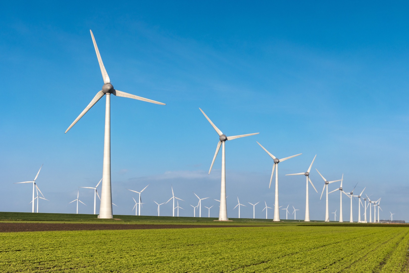 "Creștere semnificativă a producției de energie eoliană favorizează exporturile masive către Bulgaria și Ungaria"