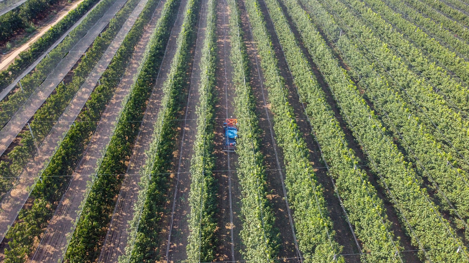 "Implementarea tehnologiei avansate în agricultură pentru a compensa lipsa forței de muncă: Roboți și drone înlocuiesc muncitorii în fermele românești / Reportaj de la Indagra, cel mai prestigios eveniment agricol"