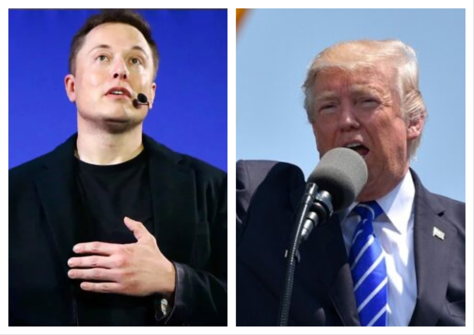 "Trump creează un "Departament al Eficienței Guvernamentale" și numește în fruntea acestuia pe miliardarul Elon Musk și pe Vivek Ramaswamy"