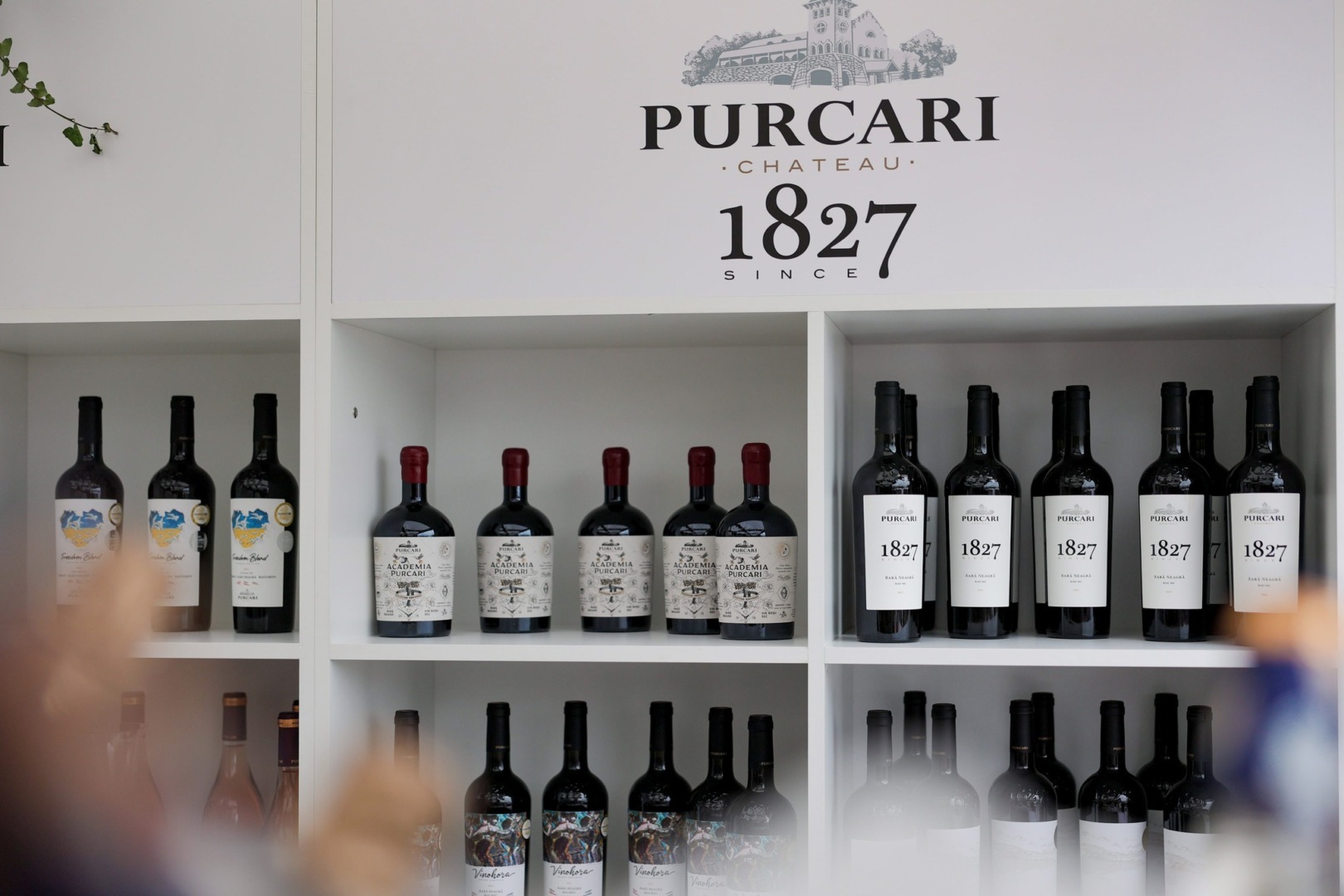 "Profitul net al Purcari Wineries a scăzut cu 1%, ajungând la 43,37 milioane lei în primele nouă luni"