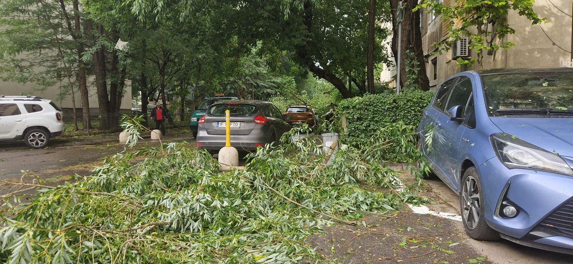 "Despăgubiri de 24 de milioane de lei acordate de companiile de asigurări în semestrul I pentru daunele cauzate de furtuni"
