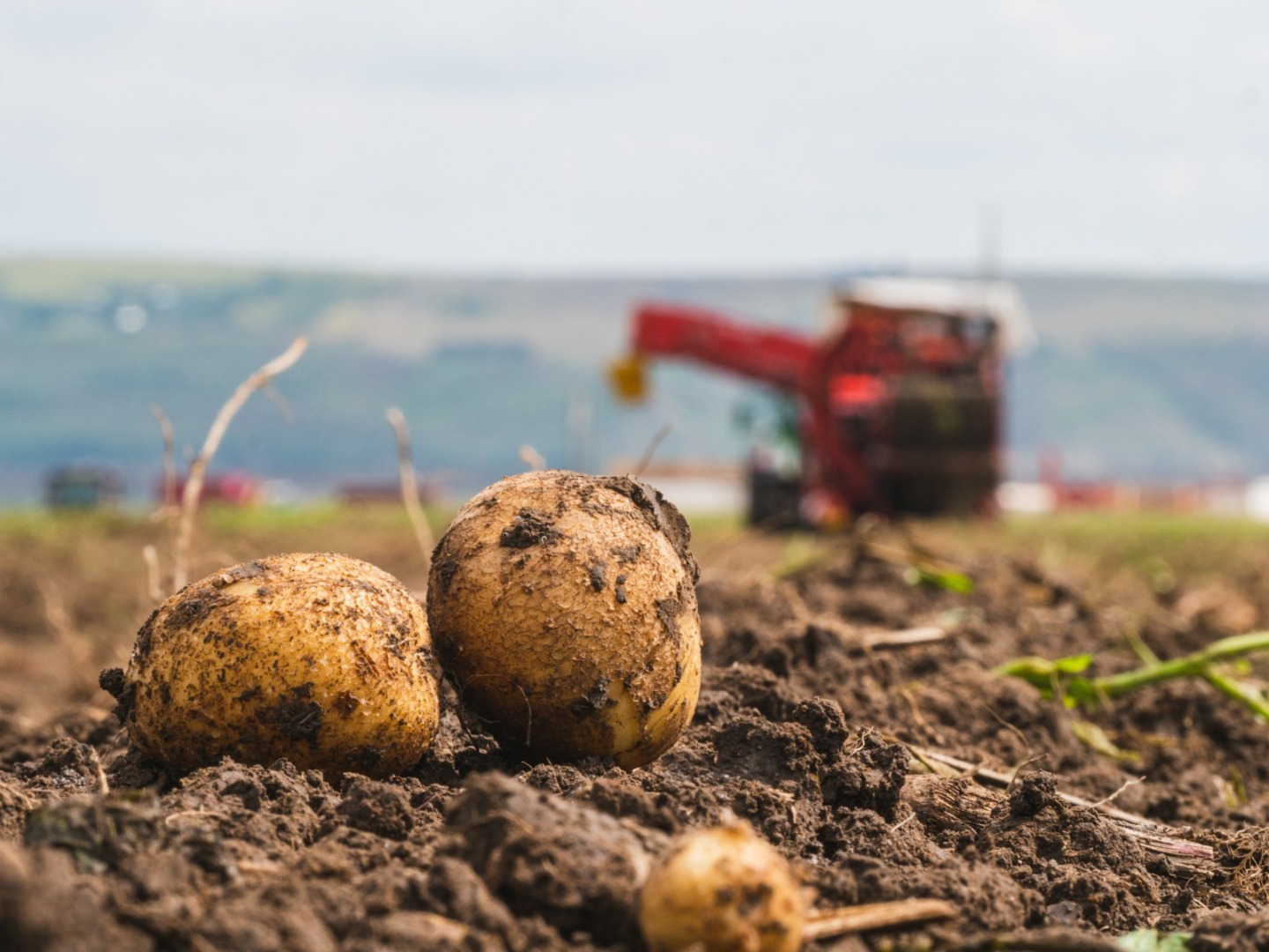 "Comerțul UE cu produse agroalimentare stabilizează un echilibru record în octombrie 2024"