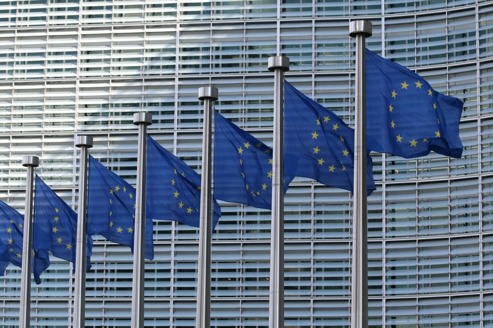 "Comisia Europeană poate renunța la anumite proiecte ecologice. Există posibilitatea eliminării regulii 'dublei materialități'"